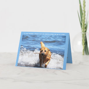 Festividades Cartão de Aniversário Mistura de German shepherd E