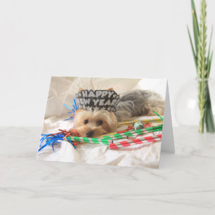 Festividades Cartão de Ano Novo Yorkie