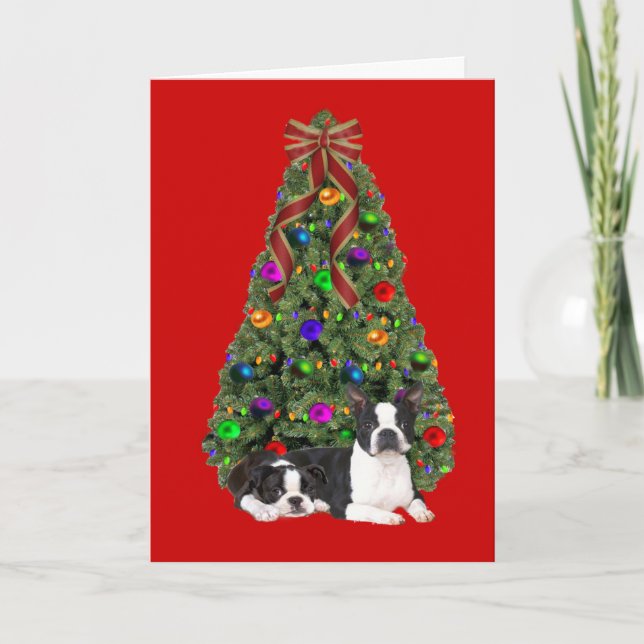 Festividades Cartão de Árvore de Natal de Boston Terrier (Frente)