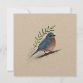 Festividades Cartão de aves de arte Bluebird Natal