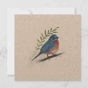 Festividades Cartão de aves de arte Bluebird Natal