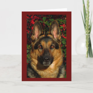 Festividades cartão de Boas Festas