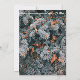 Festividades Cartão de Boas Festas de Natal