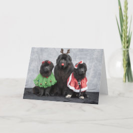 Festividades Cartão de Boas Festas de Natal Newfies