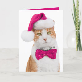 Festividades Cartão de Boas Festas-Gatinho Divertido