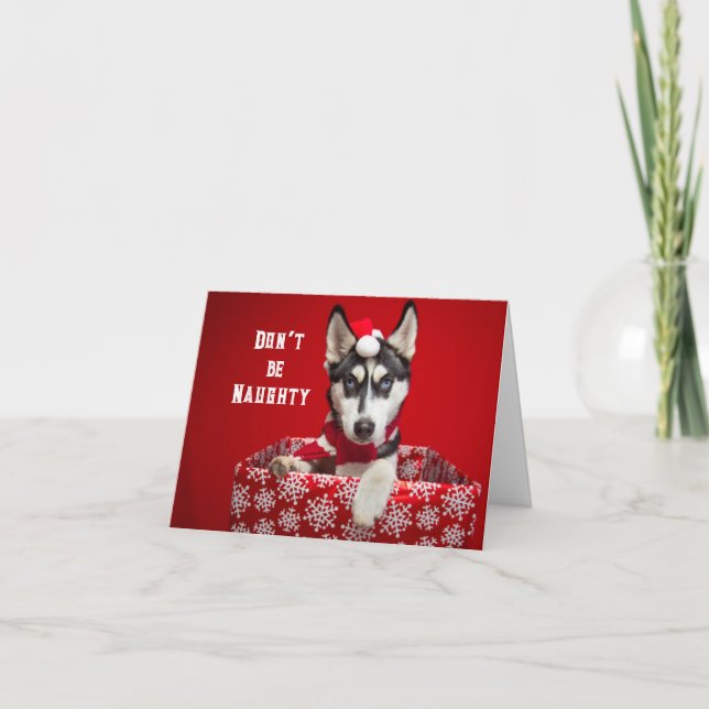 Festividades Cartão de Boas Festas sem falsidade (Frente)