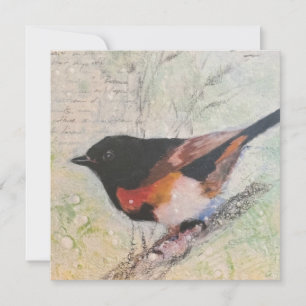Festividades Cartão de Boas-vindas American Redstart