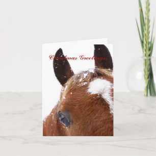 Festividades Cartão de Boas-Vindas de Natal para o Cavalo de in