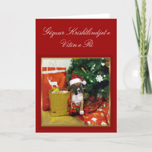 Festividades Cartão de boxe Gëzuar Krishtlindjet e Vitin e Ri