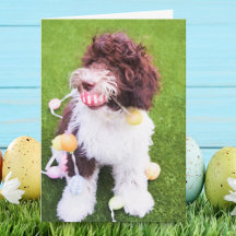 Cartão de Caça ao Ovo de Páscoa do Labradoodle Fof