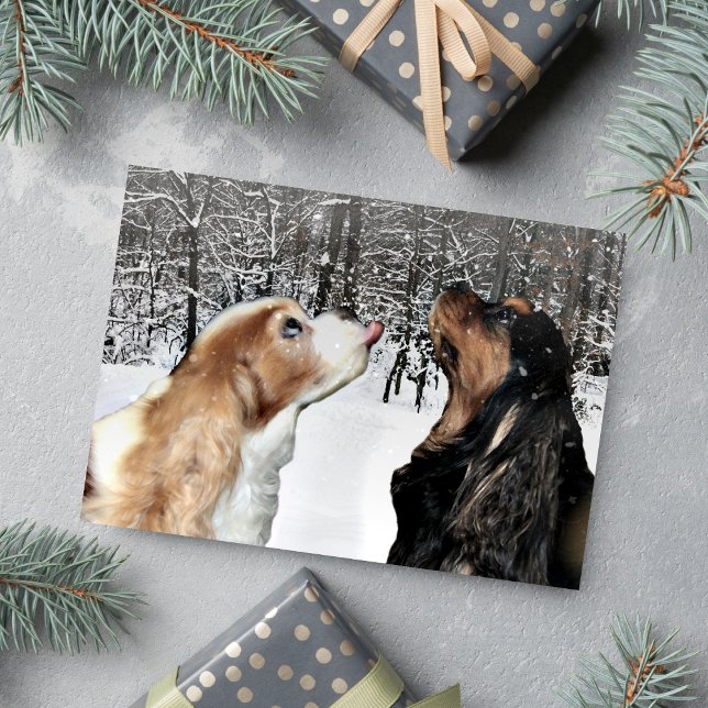 Festividades Cartão de Cavalier King Charles Spaniel na Neve (Catching snowflakes Cavaliers for a Christmas greeting. )