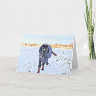 Festividades Cartão de cumprimentos de cavalo na neve
