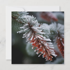 Festividades cartão de cumprimentos de Natal com Abeto Frase Co