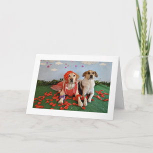 Festividades Cartão de dia de os namorados, fotografia de 2 cãe