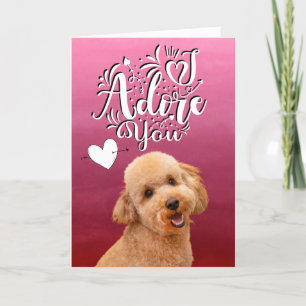 Festividades Cartão de Dia dos Namorados do Poodle ... Eu adoro
