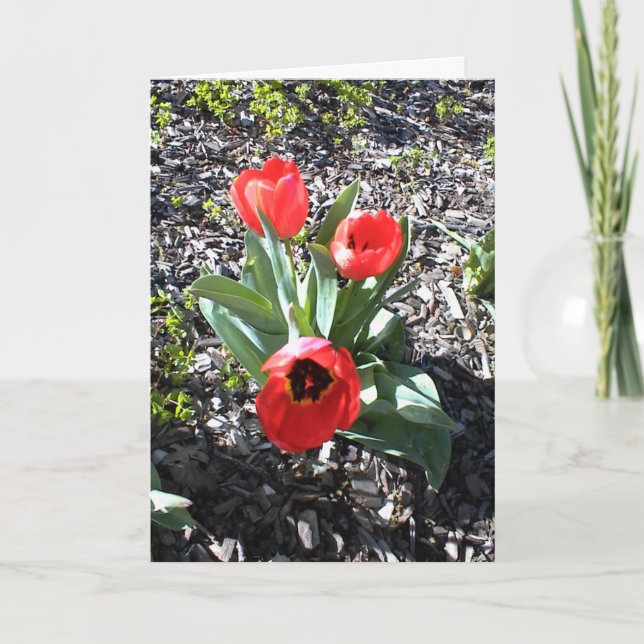 Festividades Cartão de encorajamento Inspiracional para Feriado (Frente)