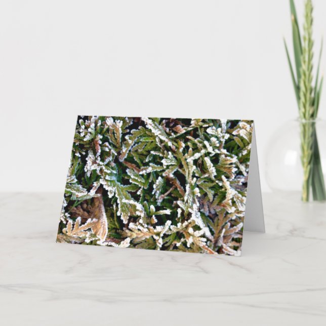 Festividades Cartão de Feriado de Inclinação Axial (Frente)