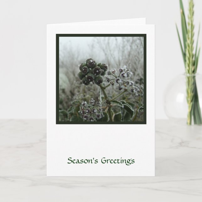 Festividades Cartão de Feriado de Inverno (Frente)