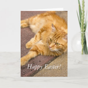 Festividades Cartão de Feriado Ginger Ginger para felzs pascoa
