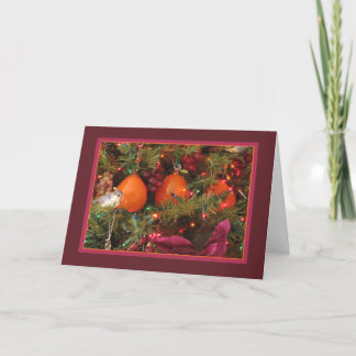 Festividades Cartão de Feriado: Três Persimmons