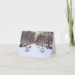 Festividades Cartão de Férias "Central Park in Winter" - Estaçã