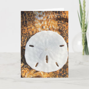 Festividades Cartão de Férias de Areia