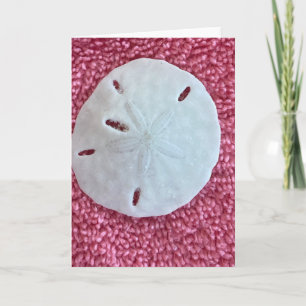 Festividades Cartão de Férias de Areia