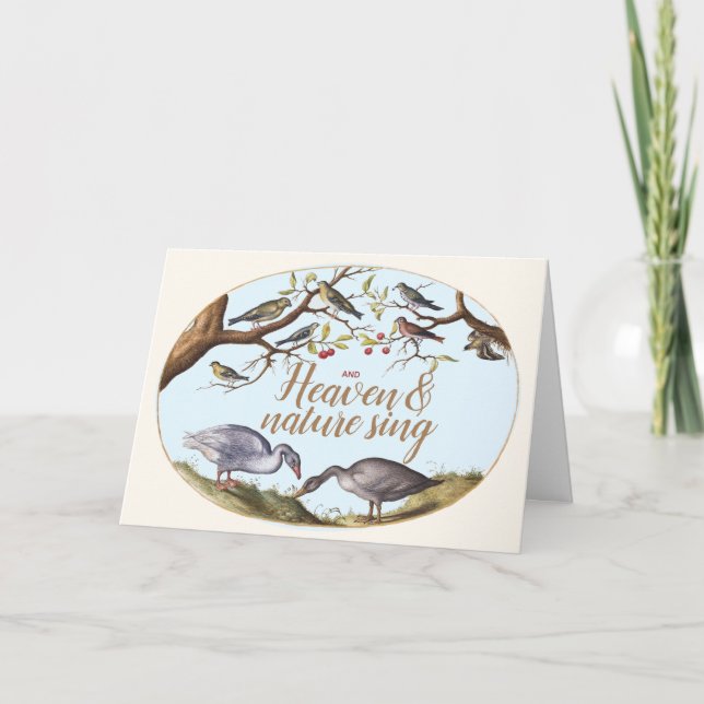 Festividades Cartão de Férias de Aves de Natal (Frente)