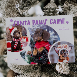 Festividades Cartão de Férias de Cão Lilac para papais noeis