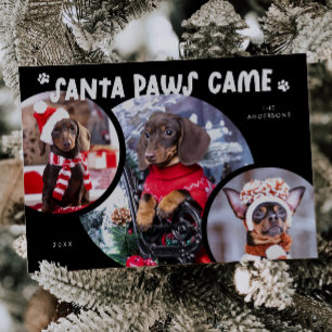 Festividades Cartão de Férias de Foto do Cão Preto Santa Paws