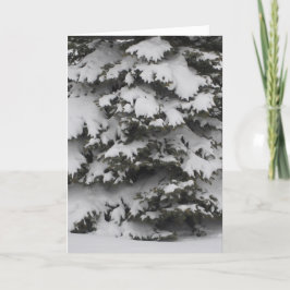 Festividades Cartão de Férias de Galhos Nevados Dobrados