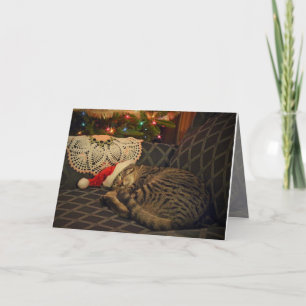 Festividades Cartão de Férias de Gatinho Gatinho Gatinho Daisy