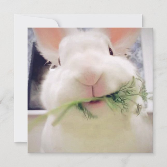 Festividades Cartão de Férias do felz pascoa (Frente)