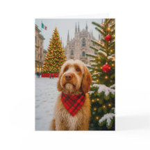 Cartão de Férias do Spinone Italiano