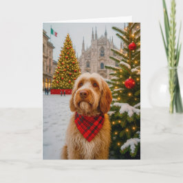 Festividades Cartão de Férias do Spinone Italiano