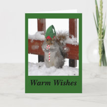 Cartão de Férias Dobrado Esquilo Fofo em Verde