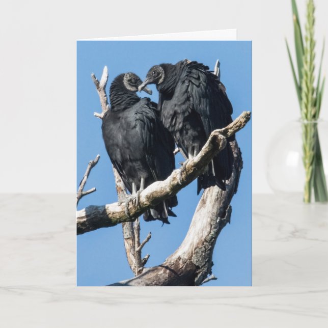 Festividades Cartão de Férias Dobre de Vulture Valentine (Frente)