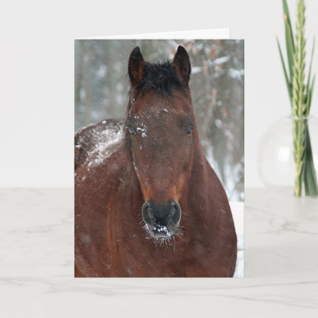 Festividades Cartão de Férias Feliz (Frente)