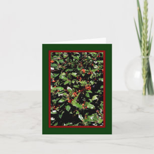Festividades Cartão de Férias 'Holly & Berries' - Em Branco Por