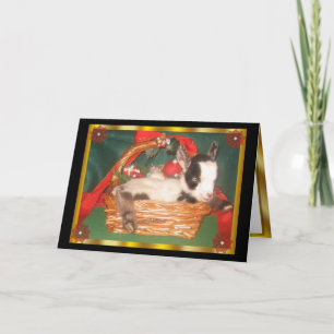 Festividades Cartão de Férias Myotonic Baby Goat