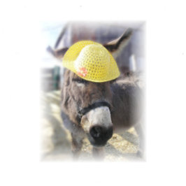 Festividades Cartão de Férias "O Verdadeiro Coelho de Páscoa"