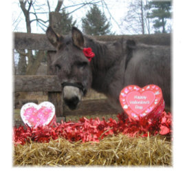 Festividades Cartão de Férias "Seja Meu Namorado!"