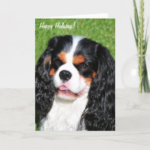 Festividades Cartão de Férias Tricolorido King Charles