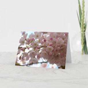 Festividades Cartão de Flor de Cereja Personalizar Cartão de Fl