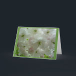 Festividades Cartão de Flor de Cereja Personalizar Cartão de Fl<br><div class="desc">Cartões de Flor Branco Linda cereja branca Flor Flor Flor Cartões de Flor e Impressões Cartões e Impressões Personalizados para o Natal Aniversário Parabéns de simpatia Cartões de Flor Branco Personalizados Obtêm Cartões e Impressões de Flor Brancos Bem Brancos por www.kimhunter.ca</div>