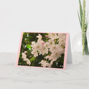 Festividades Cartão de Flor de Cereja Personalizar Placa de Fl