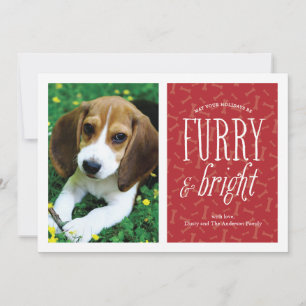 Festividades Cartão de Foto de Animalzinho Fofo e Radiante