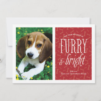 Festividades Cartão de Foto de Animalzinho Fofo e Radiante