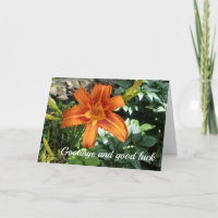 Cartão de Foto de Flor de Adeus ao Médico
