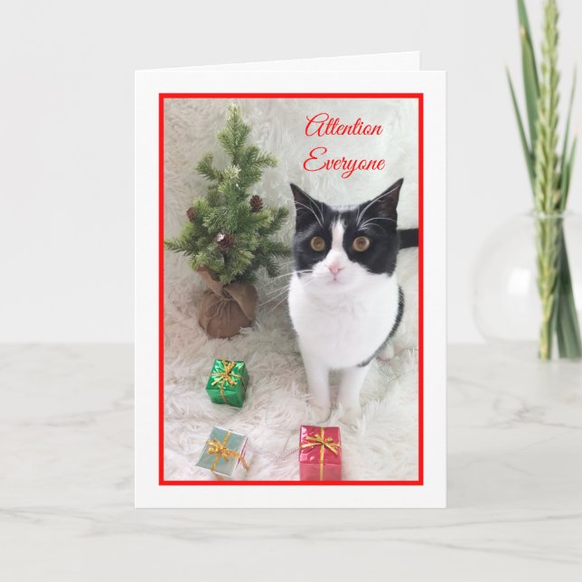 Festividades Cartão de Gato de Natal - Atenção a Todos (Frente)